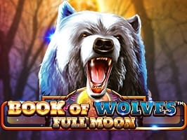 Book Of Wolves Full Moon screenshot